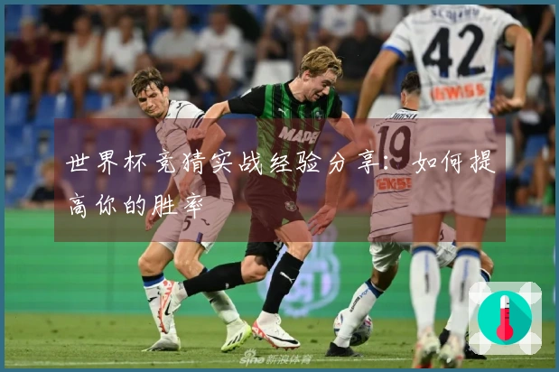 世界杯竞猜实战经验分享：如何提高你的胜率