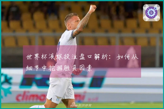 世界杯滚球投注盘口解析：如何从细节中挖掘胜负因素