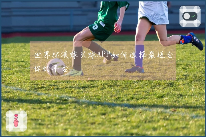 世界杯滚球买球APP如何选择最适合你的平台
