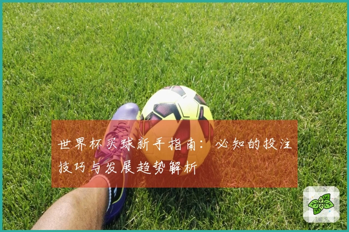 世界杯买球新手指南：必知的投注技巧与发展趋势解析
