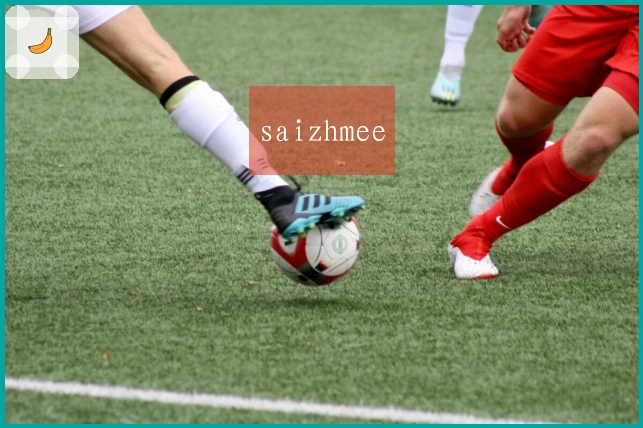 saizhmee