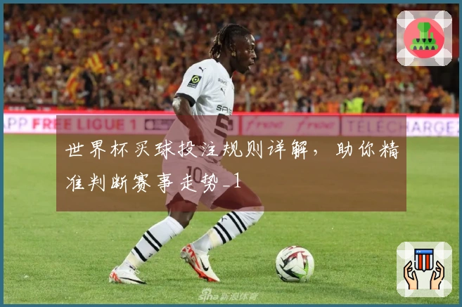 世界杯买球投注规则详解,助你精准判断赛事走势_1