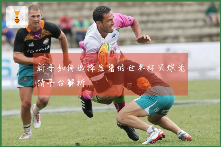 新手如何选择靠谱的世界杯买球竞猜平台解析