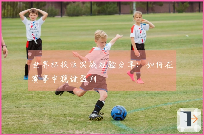 世界杯投注实战经验分享：如何在赛事中稳健盈利