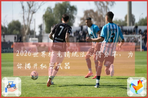 2026世界杯竞猜玩法心得分享，为你揭开秘密武器