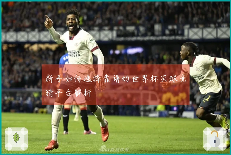新手如何选择靠谱的世界杯买球竞猜平台解析
