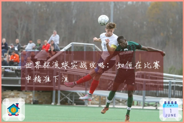 世界杯滚球实战攻略：如何在比赛中精准下注